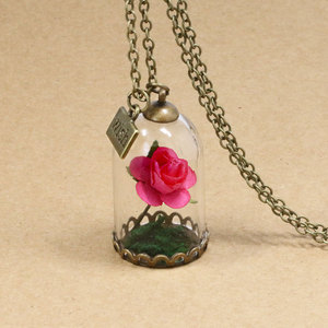 NX441 Huilin New Design <strong>Beauty</strong> <strong>and</strong> <strong>Beast</strong> Dry Rose Flower Necklace Creative Glass Bottle Red Rose Wish Pendant Necklace - Product Image 1