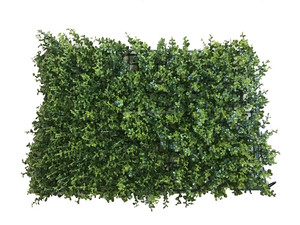 Material de plástico sistema de la <span class=keywords><strong>pared</strong></span> <span class=keywords><strong>vertical</strong></span> verde artificial para decoración de jardín al aire libre - Product Image 2