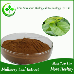 จีนขายส่งหม่อนผงสารสกัดจากใบหม่อนผง - Product Image 2