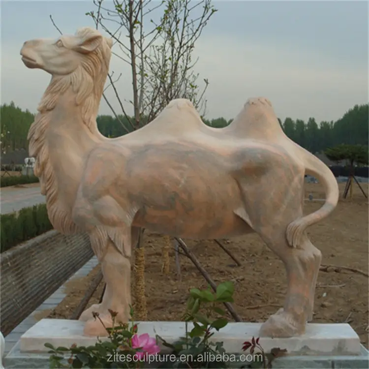 Estátua de camel tamanho da vida do jardim ao ar livre