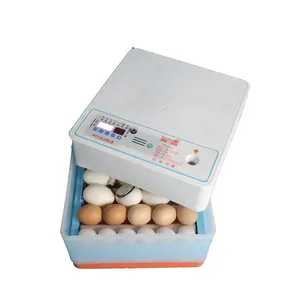 LN2-20 20 pcs uova uova di pollo incubatrice