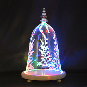 Cúpula de cristal de La Bella y La Bestia con luces interiores con Base de madera - Product Image 3