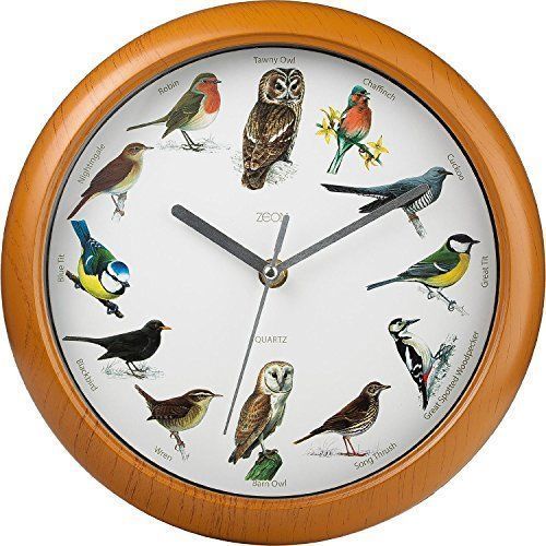 uk birds