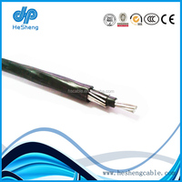 600V #   Cable de Aluminio Concéntrico con Aislamiento XLPE y Protección UV, Calibres 8/3, 6/3 y 4/3