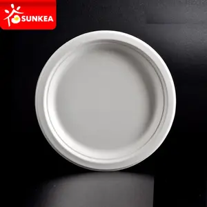 Biodegradable Food Packaging Paper Pulp Plate Tray Disposable Sugarcane Bagasse Plate