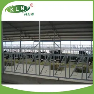 KLN dairy hot-dip galvanized cow headlock