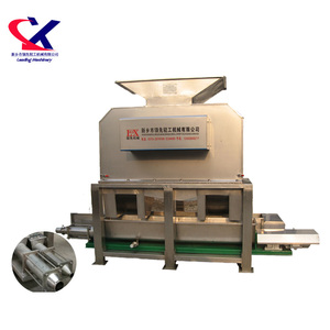 Línea de producción profesional de jugo de piña para extraer jugo - Product Image 2