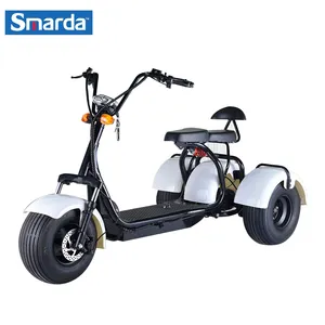 Citycoco-patinete eléctrico de 3 ruedas, scooter de carbono, 2000w, precio al por mayor