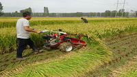 Défonceuse de blé et de riz, tondeuse à café