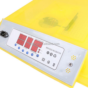 HOT Sản Phẩm Tự Động Gia Cầm Lồng Ấp Máy Với Trứng Candler Miễn Phí <span class=keywords><strong>WQ</strong></span>-<span class=keywords><strong>48</strong></span> Bán Chạy Nhất Mười Năm Đa Chức Năng - Product Image 4