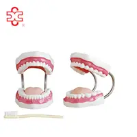 Achetez des produits haut de gamme moule à dents artificielles auprès de  grandes marques - Alibaba.com