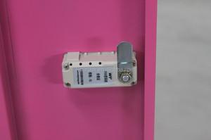 Exquis KD structure unique 2 porte <span class=keywords><strong>en</strong></span> acier inoxydable coloré <span class=keywords><strong>tissu</strong></span> <span class=keywords><strong>casier</strong></span> - Product Image 2