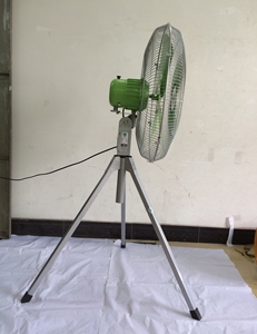 พัดลมตั้งพื้นแบบขา<span class=keywords><strong>ตั้ง</strong></span> FS10-60 ขนาด 24 นิ้ว - Product Image 3