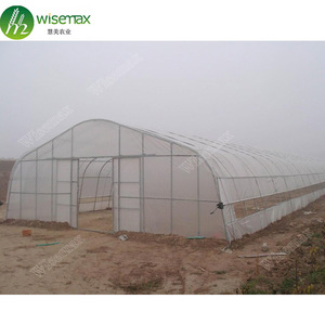 Hail Resistant <strong>Etfe</strong> <strong>Film</strong> 200 Micron <strong>Greenhouse</strong> Plastic for Agriculture - Product Image 4