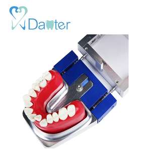 Modello di studio dentale a basso prezzo modello di pratica Typodont in resina professionale modello anatomico dentale per uso universitario in clinica ospedaliera - Product Image 5