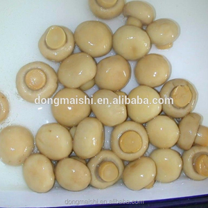 Tranche entière de champignon en saumure/champignon en conserve ps en étain - Product Image 4