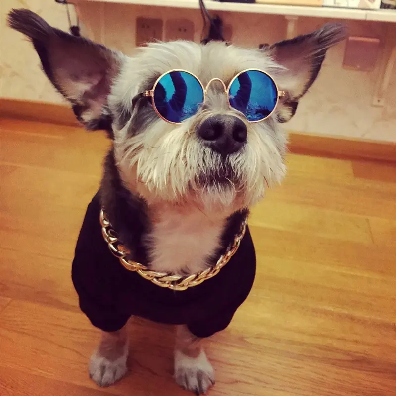 Óculos de sol feminino, óculos de sol legal, engraçado, bonito, estilo cão, olho de gato, óculos de sol retrô, clássico, príncipe, de metal para cães