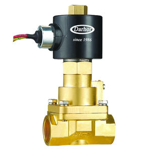 Darhor-Válvula Solenoide de vapor de pistón de 2 vías, válvula de agua caliente de alta temperatura, 220v - Product Image 3