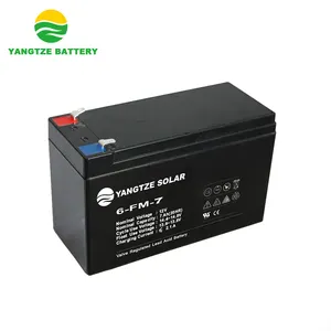 Ups Systeem Sla Batterijen 12V 7ah Eerste Power