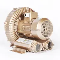 Acid-base Resistant Hot Air Blower, Electric Turbo Blower