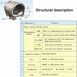 Thép không gỉ GR-S răng Vòng Loại ống kết nối trong inch và hệ thống đo lường số liệu - Product Image 4