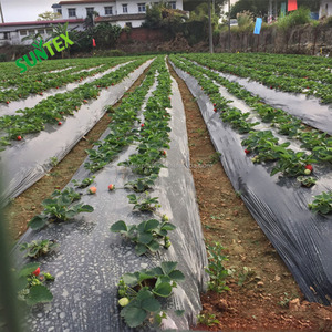 Nhà Máy Giá nông nghiệp Sản phẩm nhựa mulch Black & bạc phản chiếu phim, 100% trinh nữ chất liệu LDPE Weed kiểm soát mulching - Product Image 4