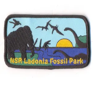 Top sales custom NSR Ladonia fossile Park ricamo logo patch per l'abbigliamento