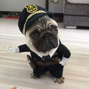 2019 vendita calda divertente cane gatto polizia costume vestiti pet moda decorazione Halloween natale compleanno pet dog cat polic costume - Product Image 5