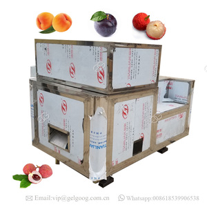 Lõi trái cây Tách Khô <span class=keywords><strong>Apricot</strong></span> Seed Mận Pit Loại Bỏ Máy - Product Image 3