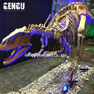 <strong>Real</strong> Size Dinosaur Skeleton <strong>Fossil</strong> Replica