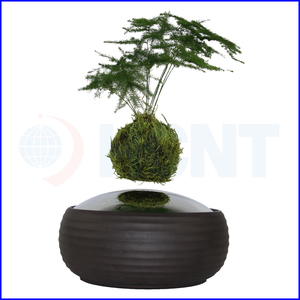 Levitando bonsai árbol de aire interior con plantas verdes - Product Image 5