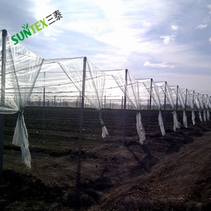 Perlindungan Pohon Apel Kawat Mono Anti Hujan Es Bersih 50GSM HDPE Bird Hail Proof Mesh - Product Image 6