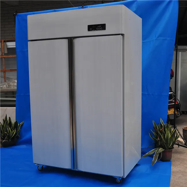 2 porta del congelatore/cucina commerciale frigorifero/commerciale ristorante frezzer frigorifero