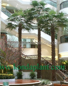 Pas cher arbres artificiels, Artificielle big pine arbres, Grands arbres artificiels en plein air - Product Image 5