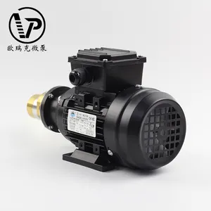Silent Circulating Long Time Low Noise Magnetic Drive Power Gear Pump
