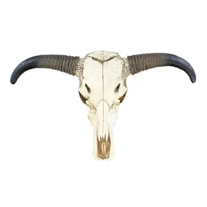 Realistische Levensgrote Koe Schedel Wall Mount Decor Hars Stier Hoofden