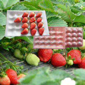 Vassoio Colorato <span class=keywords><strong>in</strong></span> <span class=keywords><strong>Plastica</strong></span> a 20 Scomparti per Servire Fragole - Product Image 1