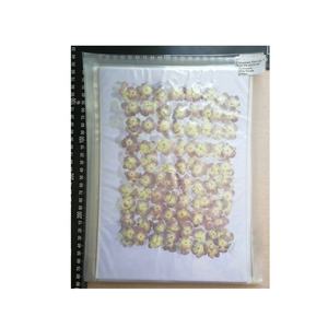 Flor prensada Real seca Hortensia - Product Image 2