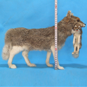 Sản Phẩm Mới Hiện Đại Thú Nhồi Bông Đồ Chơi Động Vật Sói Động Vật Hoang Dã Thực Tế Sói - Product Image 1