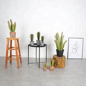 Verde <span class=keywords><strong>Opuntia</strong></span> 25cm <span class=keywords><strong>Cactus</strong></span> nuevo <span class=keywords><strong>Cactus</strong></span> Oficina <span class=keywords><strong>Cactus</strong></span> realista - Product Image 6
