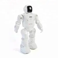 Programmable Remote Control Robot Toys for Kids