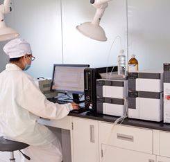 Chất lượng cao mùa xuân hành tây tinh dầu - Product Image 6