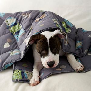 Couverture en coton pour animal de compagnie, plaid avec plumes de <span class=keywords><strong>chien</strong></span>, en tissu, pour le voyage à la maison, nouveauté - Product Image 1