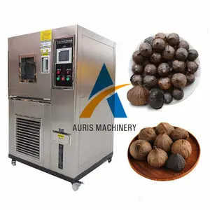 machines for korea black garlic Japanese fermentation box black garlic making machine