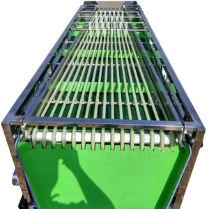 コマーシャルファームフルーツマシンオレンジウォールナットオニオンサイザーソーターグレーダーピッカー - Product Image 4