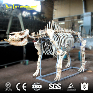 <span class=keywords><strong>My</strong></span> Dino AS010 — squelette, Animal artificiel, hippopotame, grande taille - Product Image 2