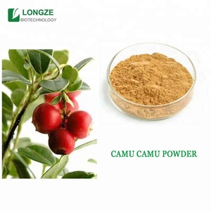 Bulk Supply Iso Gecertificeerd <span class=keywords><strong>Camu</strong></span> <span class=keywords><strong>Camu</strong></span> Extract Fruit Poeder
