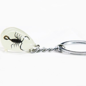 실제 전갈 에폭시 레진 물방울 야광 열쇠고리 - Product Image 1