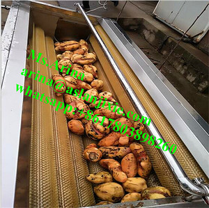 Máquina para Lavar Calabazas y Verduras de Raíz/Peladora de Verduras/Máquina para Lavar y Pelar Rábano Picante con Rodillo de Cepillo - Product Image 4