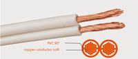 Cable Termoplástico de PVC 0.6/1kv GEMELO SPT 600V - 90C 2x10awg 2x12awg 2x14awg 2x16awg 2x18awg Cable Doble de Cobre Trenzado